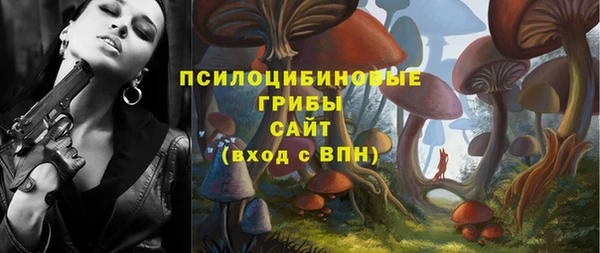 мдпв Арсеньев
