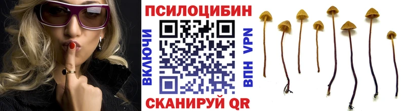 цена   Крым  Галлюциногенные грибы GOLDEN TEACHER 